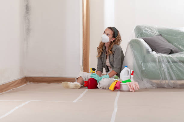 Reliable Mold Testing contractor in Ault, CO by WQB Mold Removal